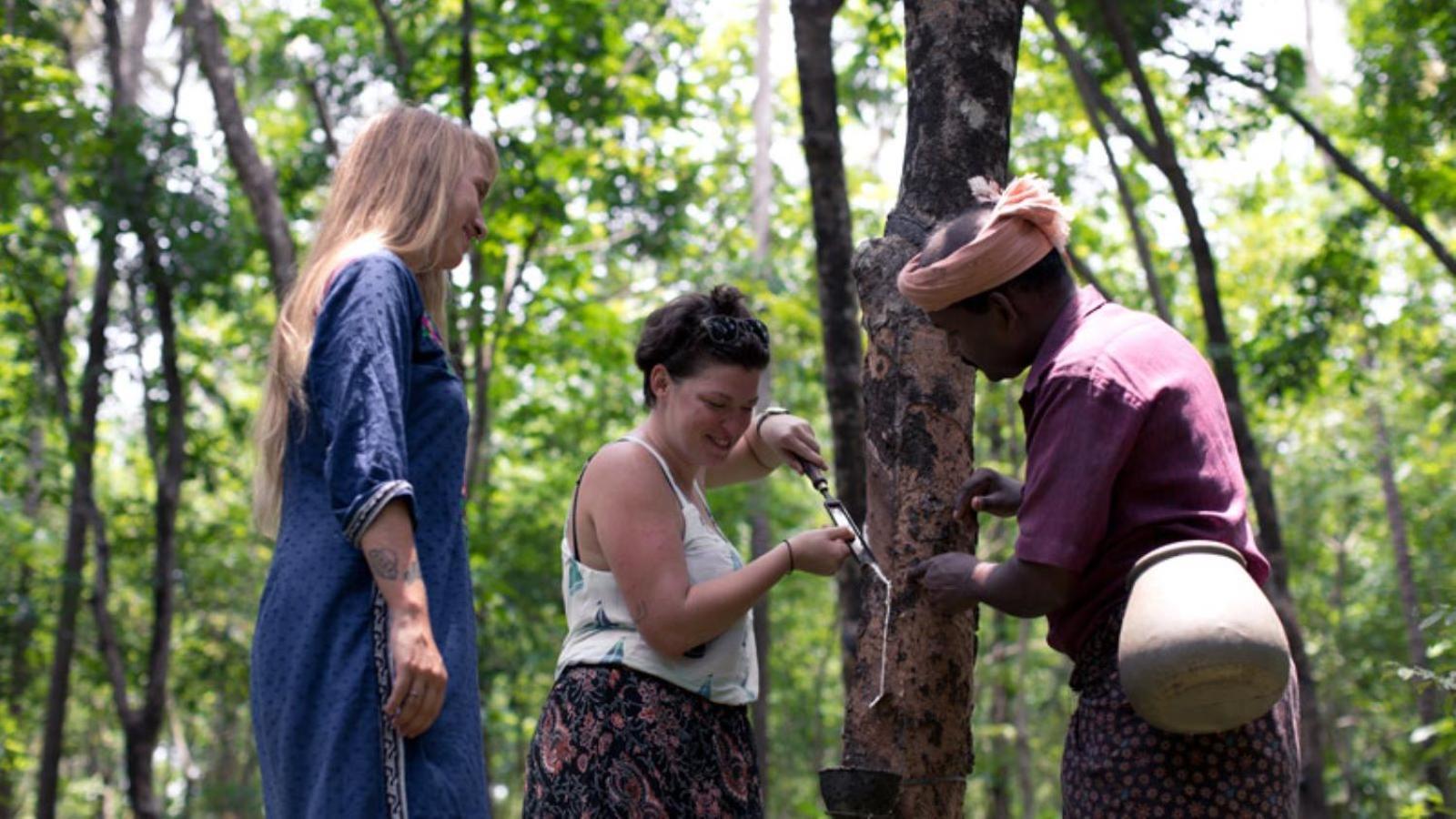 Sanjeevini Life Care Village - A Science Based Non - Invasive Holistic Wellness Destination Kochi Zewnętrze zdjęcie